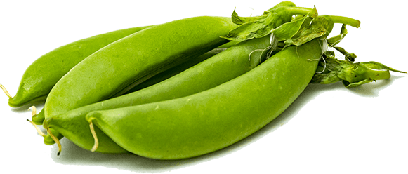 Sugar Snap Peas